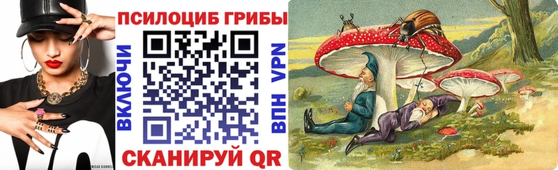 Галлюциногенные грибы мухоморы  Купить  Болотное 